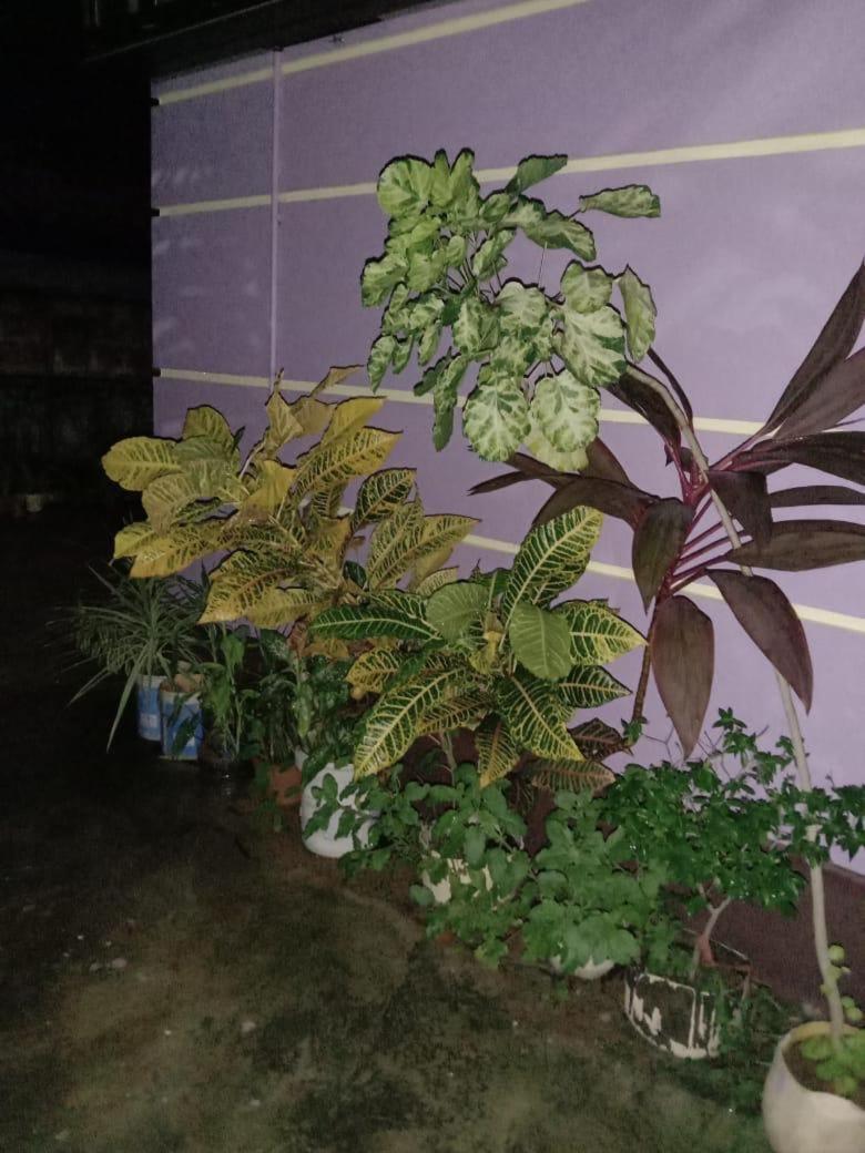 Vian Homestay Honāvar Exterior foto